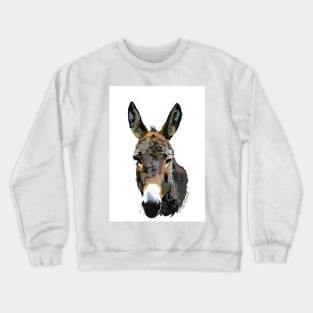 Donkey Crewneck Sweatshirt